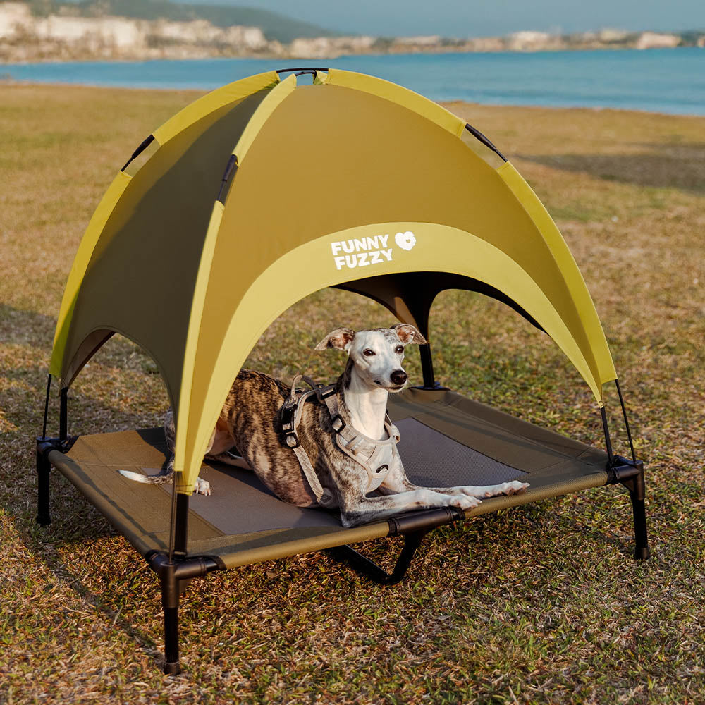 Why an Elevated Dog Bed With Canopy Is a Must-Have