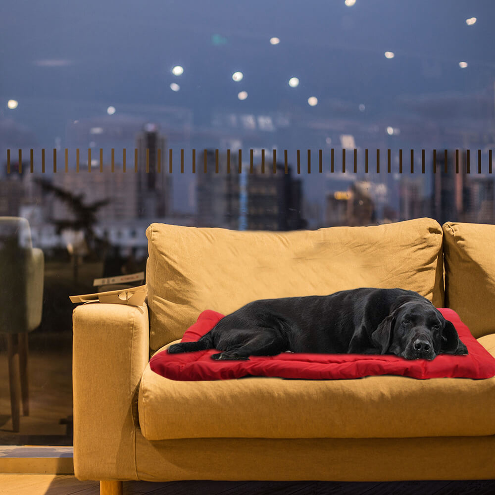 Tappetino da viaggio per cani esterno resistente impermeabile