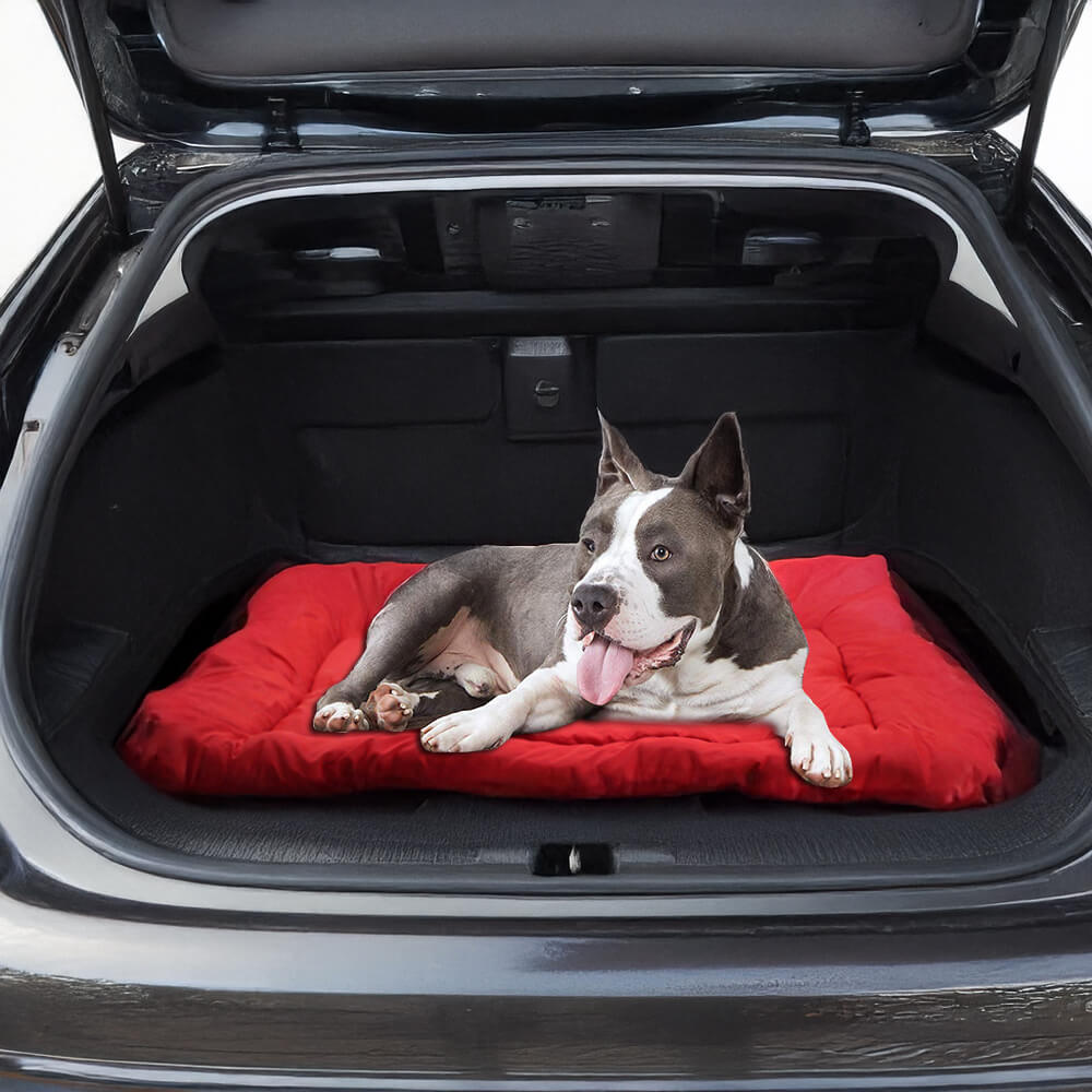 Tappetino da viaggio per cani esterno resistente impermeabile