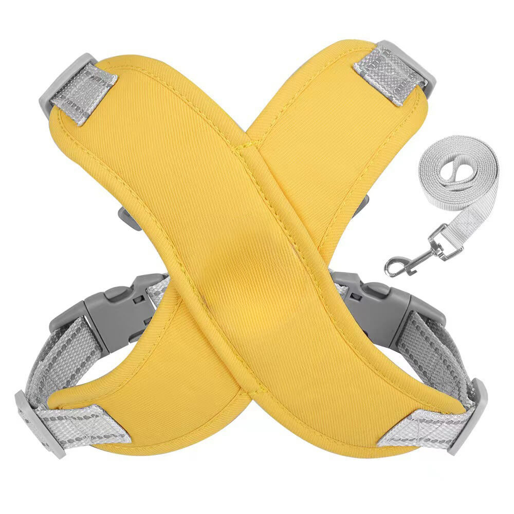 Zugseilgeschirr für Hunde – atmungsaktiv und sicher