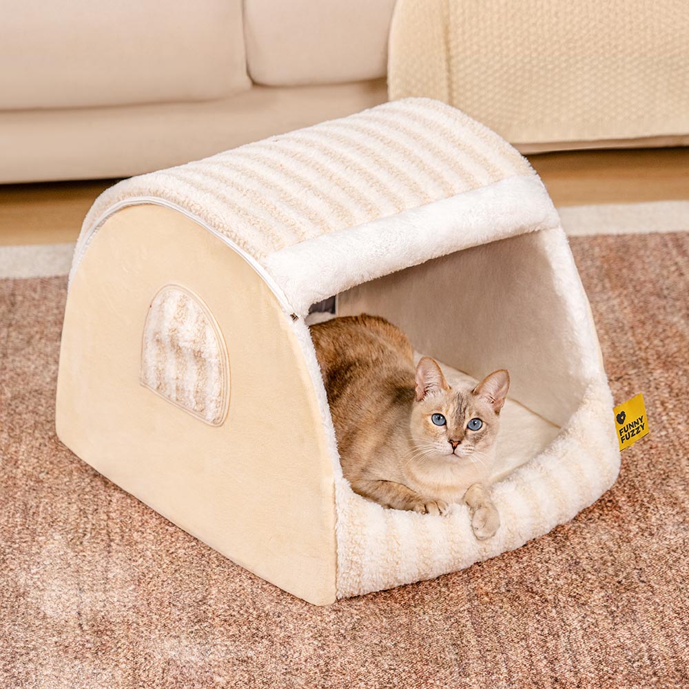 CATTO CATTO COZIE STRUED - RITORETTO COMPETTO
