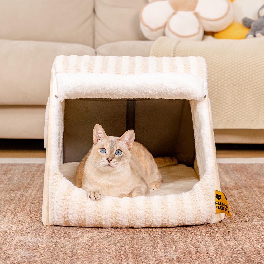 CATTO CATTO COZIE STRUED - RITORETTO COMPETTO