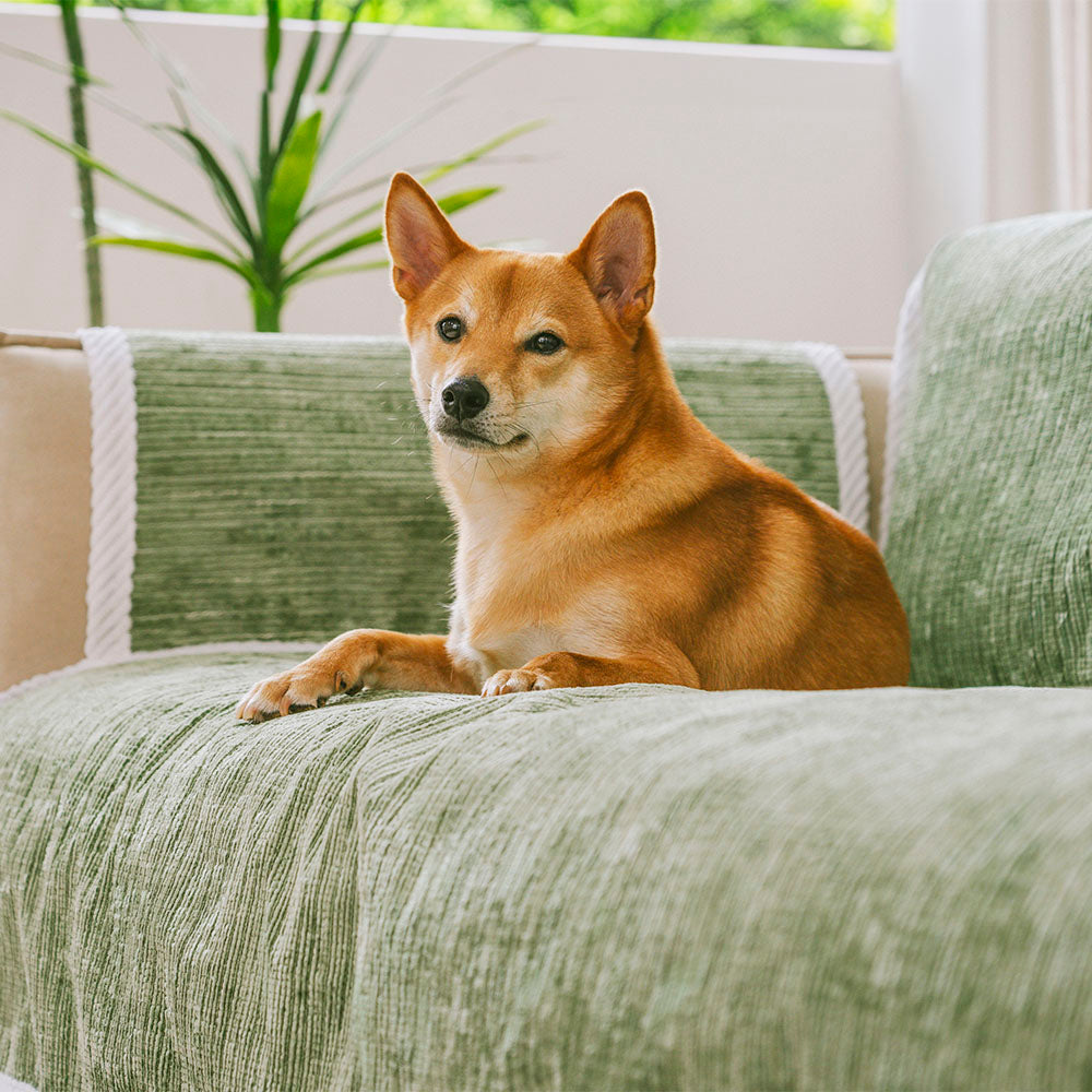 Protector de muebles de alfombra de mascotas a rayas a rayas de toda la temporada con cubierta del sofá del reposabrazos: manténgase quieto