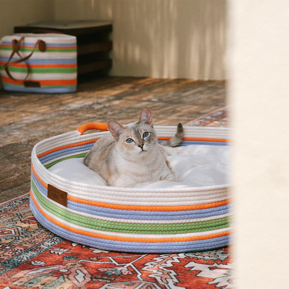 Stripe a mano Calmante PET COMMERCIALE - NESTRE Senza tempori