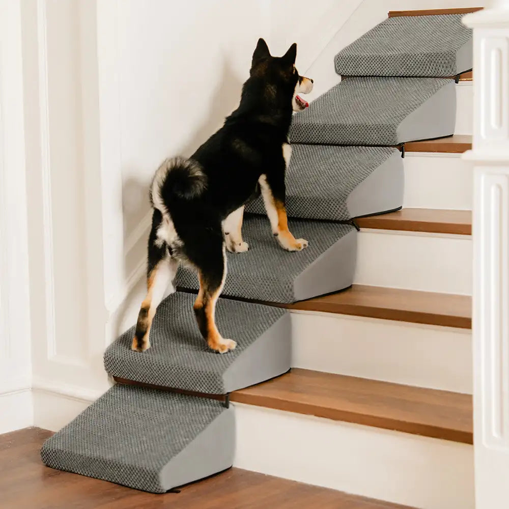 Modular Foam Dog Ramp Stairs for Staircase Stairs with Velcro