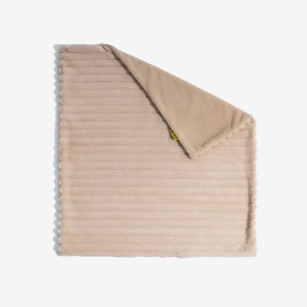 Mini Plush Home-Style Backrest Orthopedic Bed for Small Dogs - TinyNest