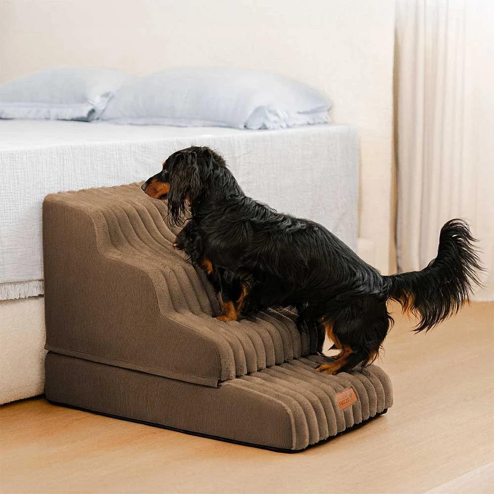 2 in 1 Fluffy Plush Sponge Detachable Pet Stair&Bed - CreamyRamp