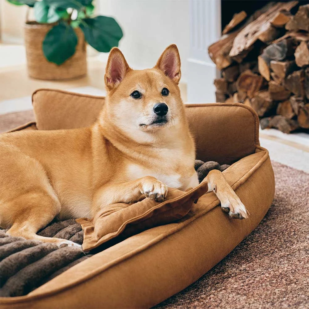 Retro Faux Suede Dual-sided Washable Bolster Dog Bed With Pillow – SweetDream