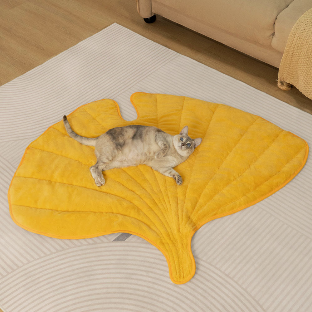 Accogliente tappetino per gatto coperta lavabile calmante.