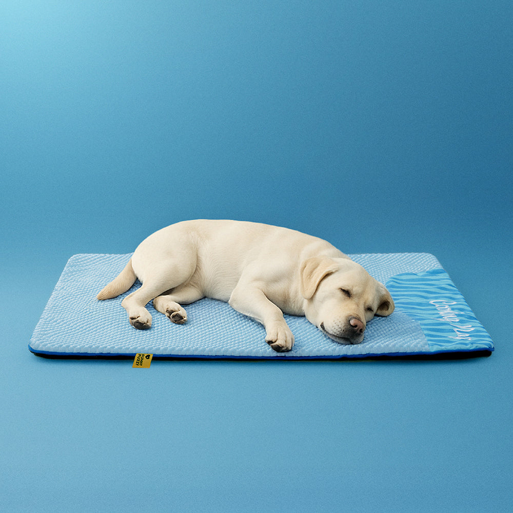 Estera para perros sin deslizamiento de enfriamiento grande - siesta de enfriamiento