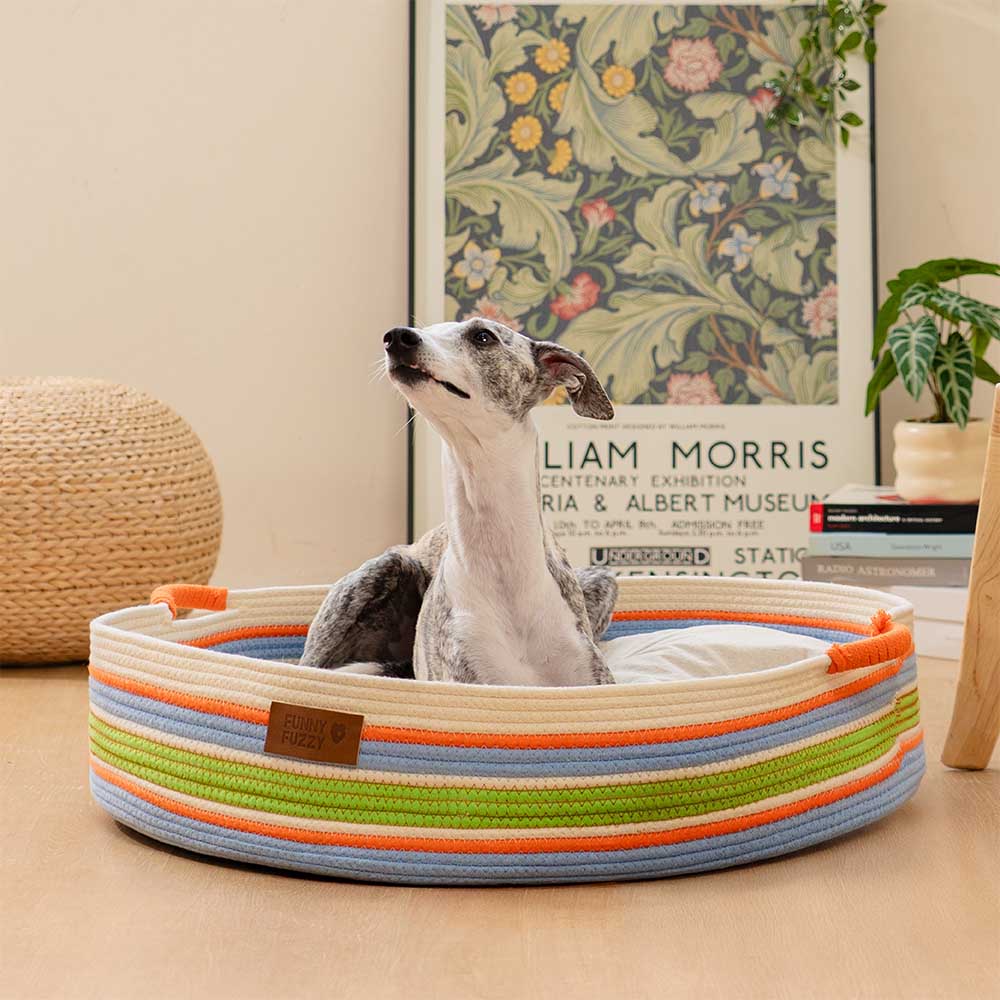 Stripe a mano Calmante PET COMMERCIALE - NESTRE Senza tempori