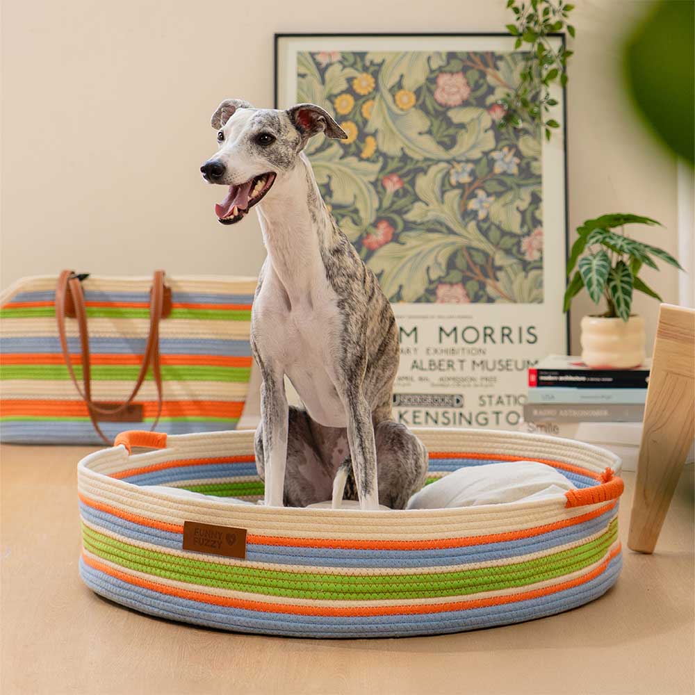 Stripe a mano Calmante PET COMMERCIALE - NESTRE Senza tempori