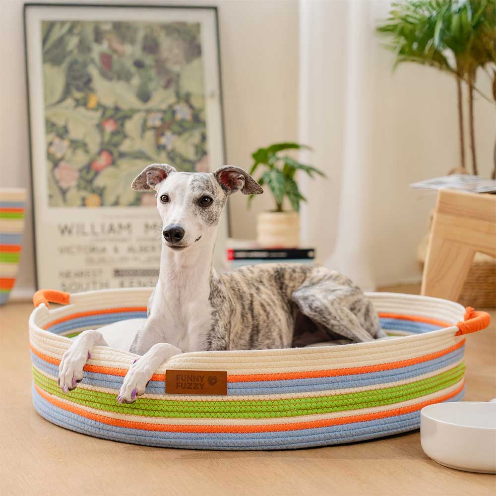 Stripe a mano Calmante PET COMMERCIALE - NESTRE Senza tempori