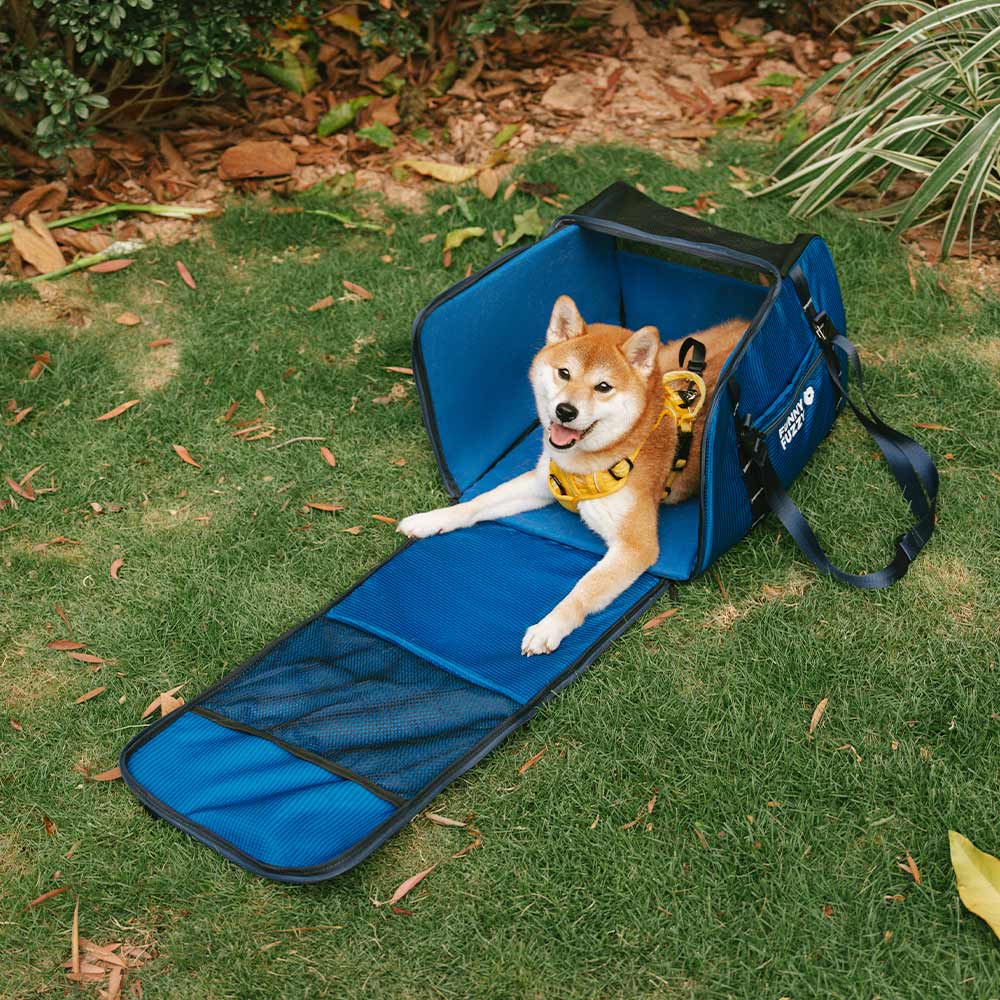 Lightweight Waterproof Safety Dog Booster Car Seat & Pet Carrier - Gympet