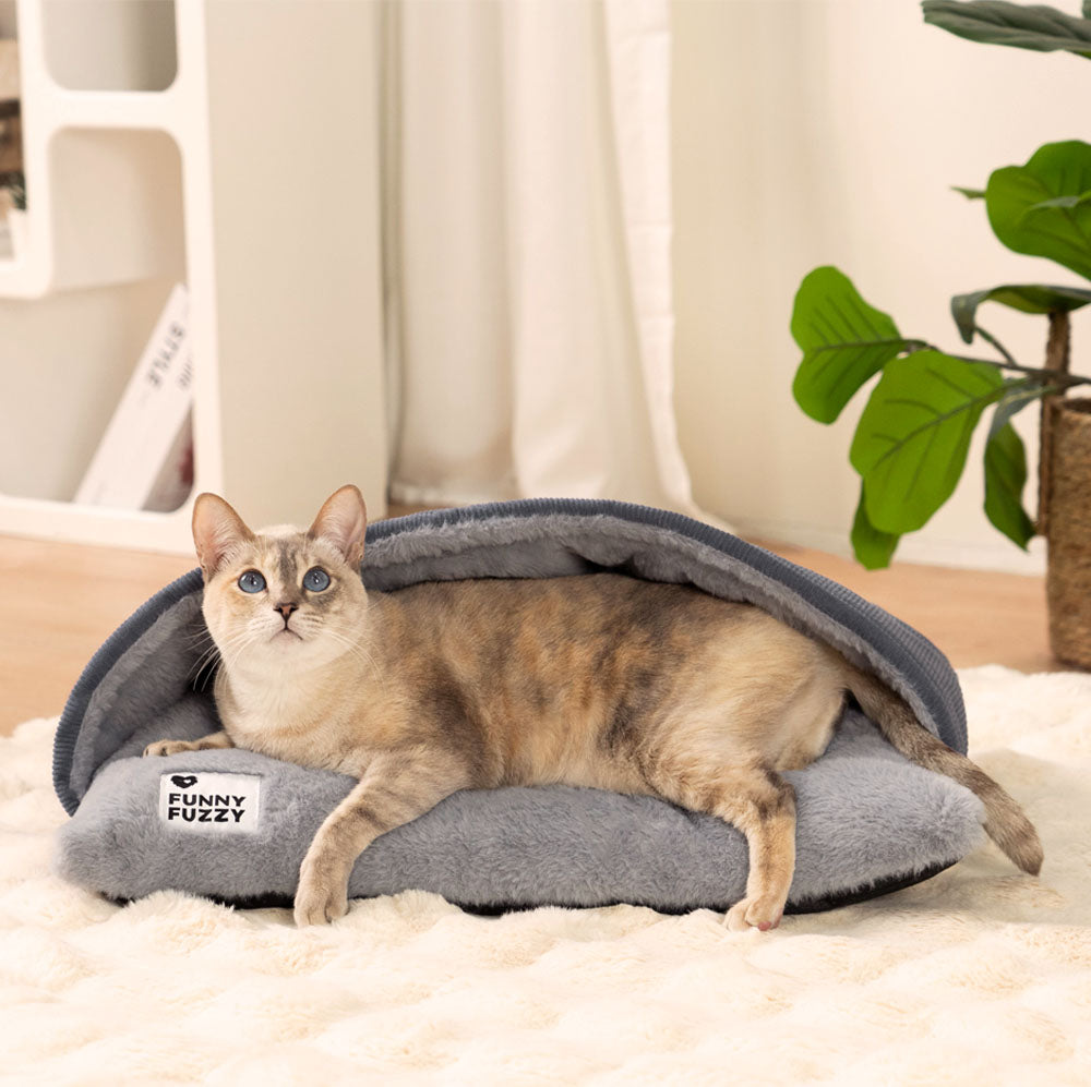 BACCO CATTO ULTRA MORD MASSO FUZIGNO CATTO