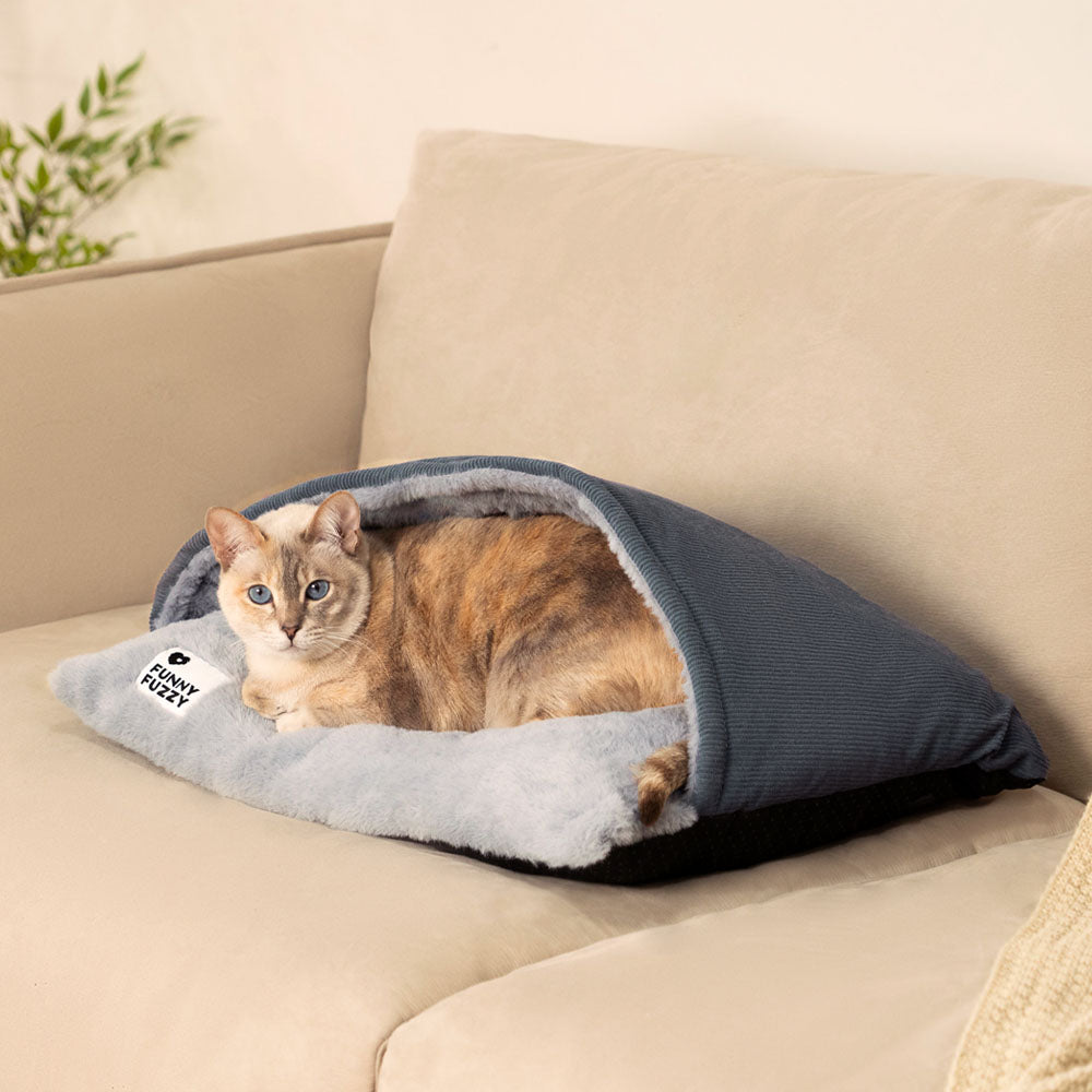 BACCO CATTO ULTRA MORD MASSO FUZIGNO CATTO