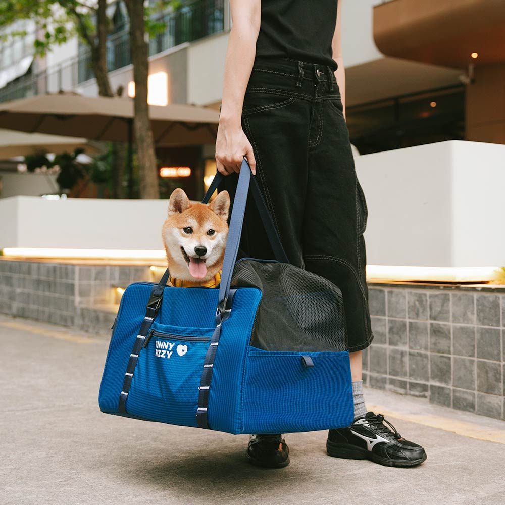Lightweight Waterproof Safety Dog Booster Car Seat & Pet Carrier - Gympet