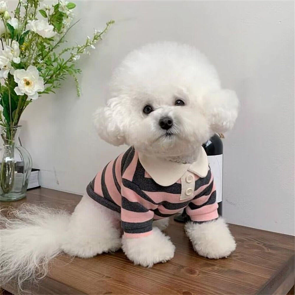 Camisas de perros de polo a rayas clásicas