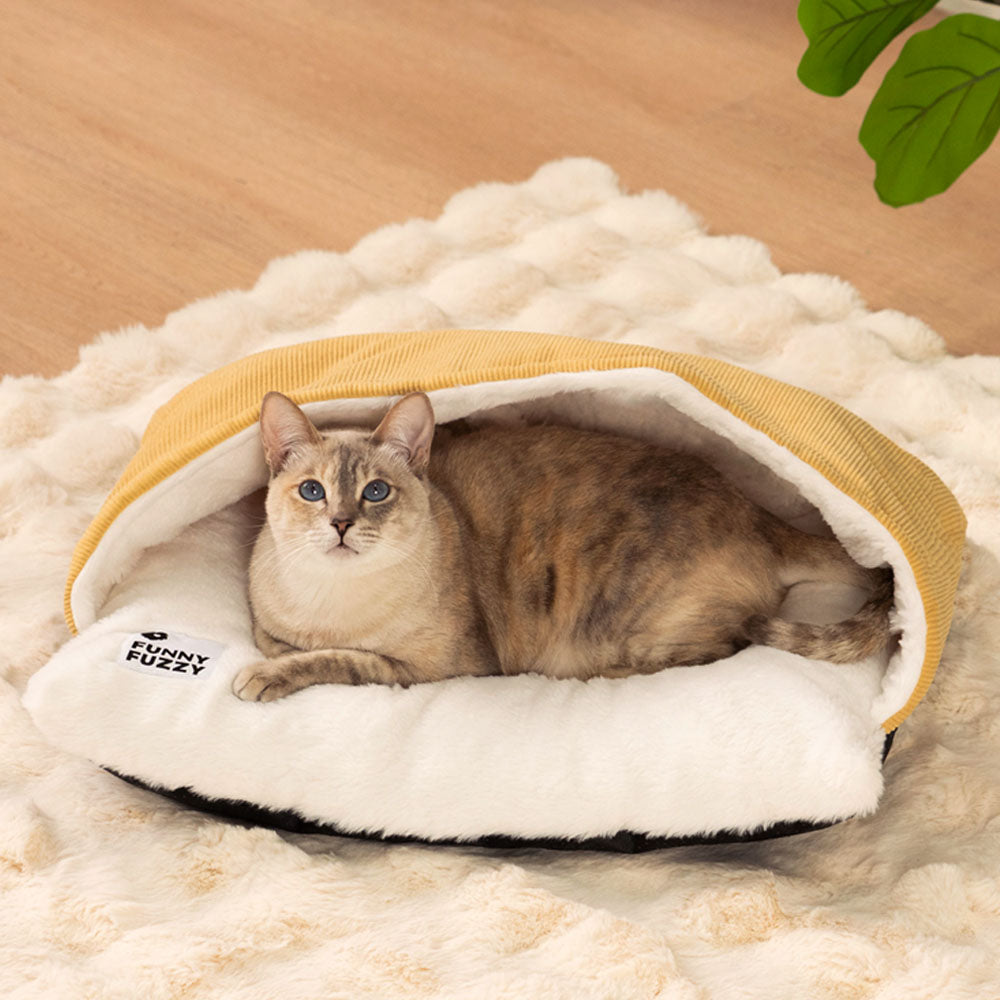 BACCO CATTO ULTRA MORD MASSO FUZIGNO CATTO