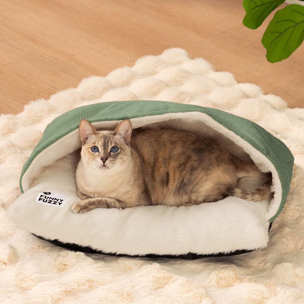 BACCO CATTO ULTRA MORD MASSO FUZIGNO CATTO
