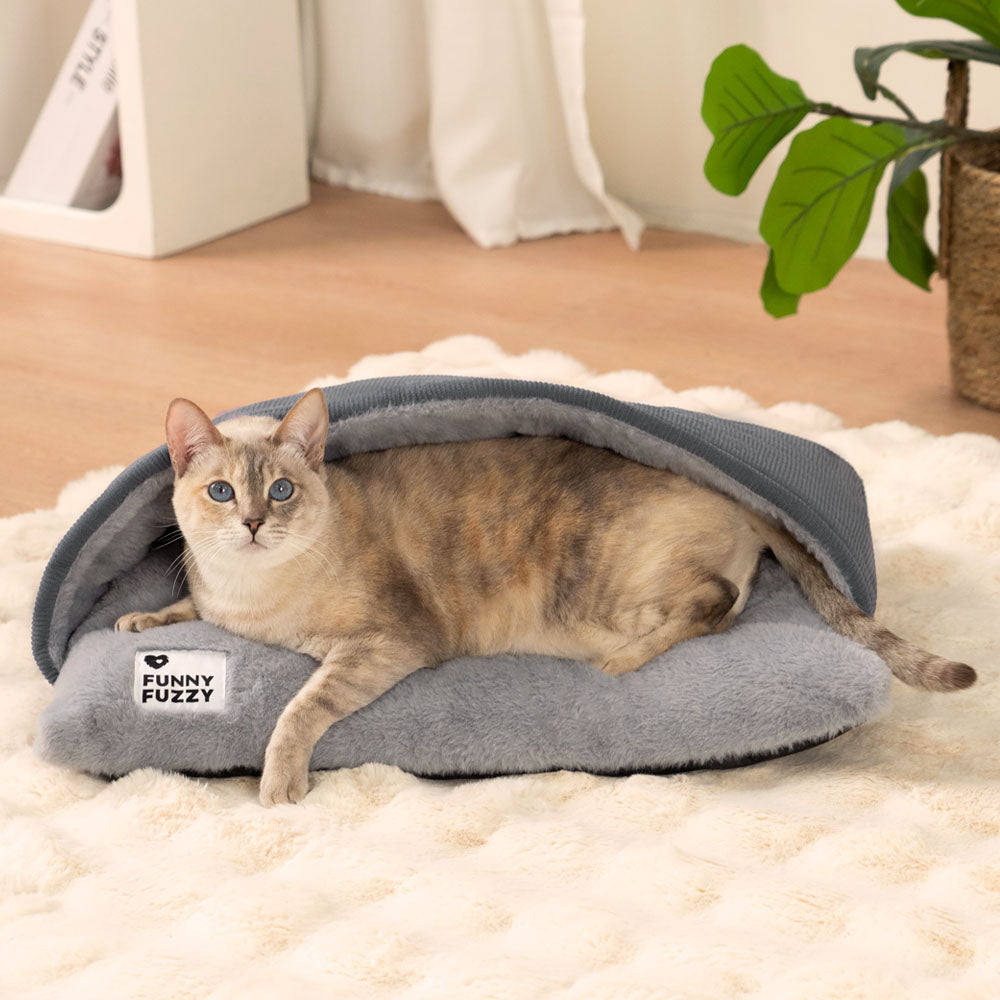 BACCO CATTO ULTRA MORD MASSO FUZIGNO CATTO