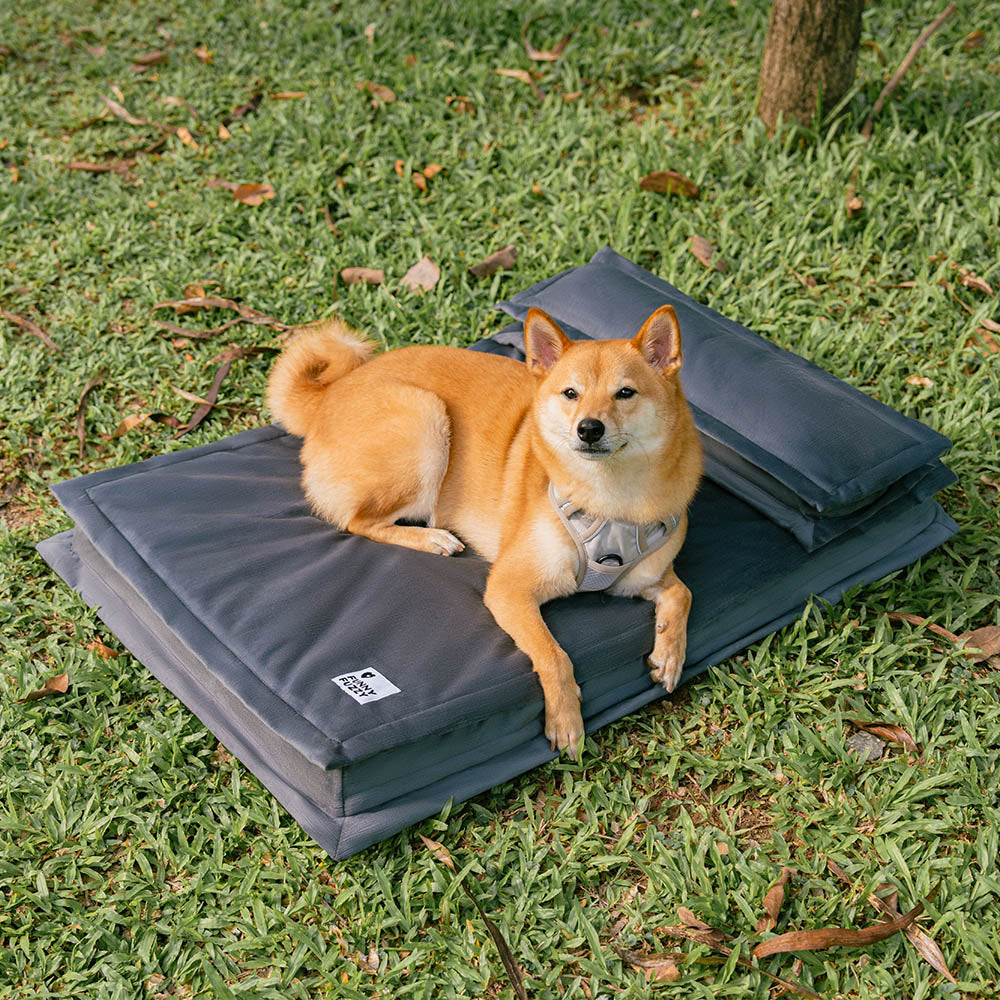 Anti-ansia con spugna supporto per cani da letto profondo