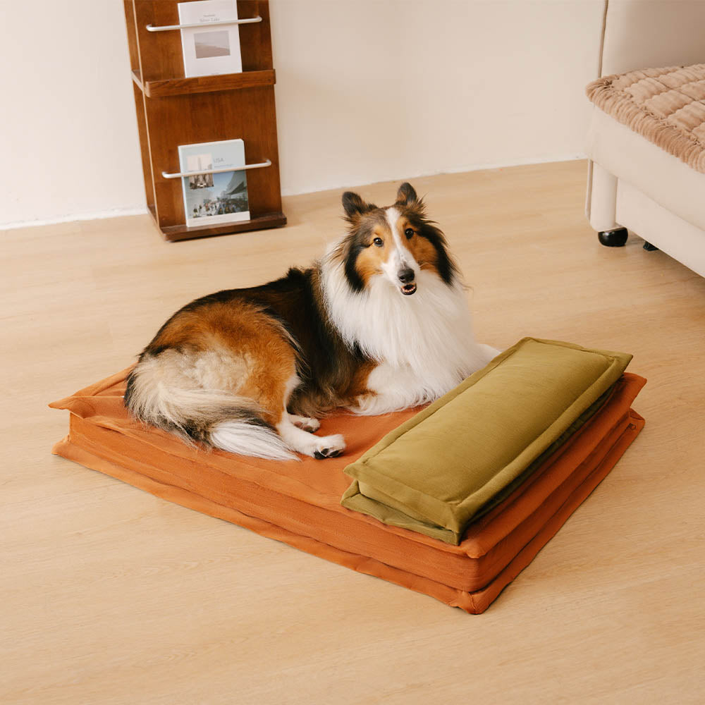 Anti-ansia con spugna supporto per cani da letto profondo