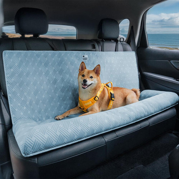 Sedile posteriore di sicurezza per padronanza del cestino per viaggi di raffreddamento a sedile per auto grandi cani - Chill Rover