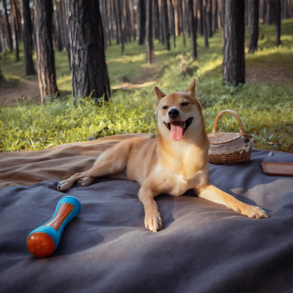 RETRO CLASSIC - CASHIO DI CASUND A USO A USO DUI USAMENTO AUPERO