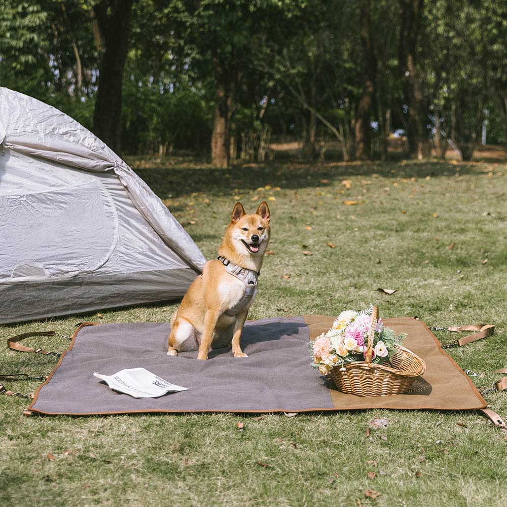 RETRO CLASSIC - CASHIO DI CASUND A USO A USO DUI USAMENTO AUPERO