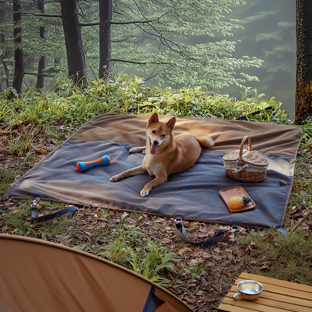 RETRO CLASSIC - CASHIO DI CASUND A USO A USO DUI USAMENTO AUPERO