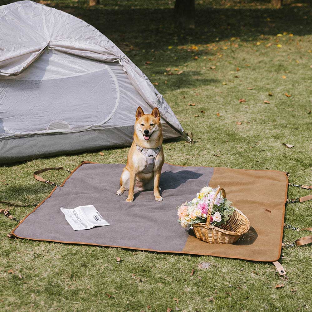 RETRO CLASSIC - CASHIO DI CASUND A USO A USO DUI USAMENTO AUPERO