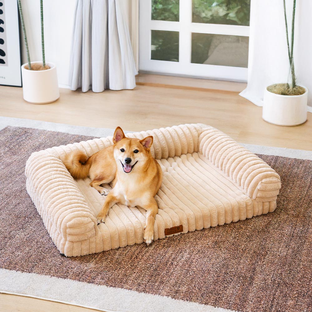 Canapé-lit orthopédique pour chien et chat, confort moelleux, crème