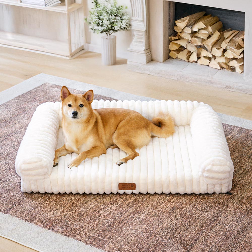 Canapé-lit orthopédique pour chien et chat, confort moelleux, crème