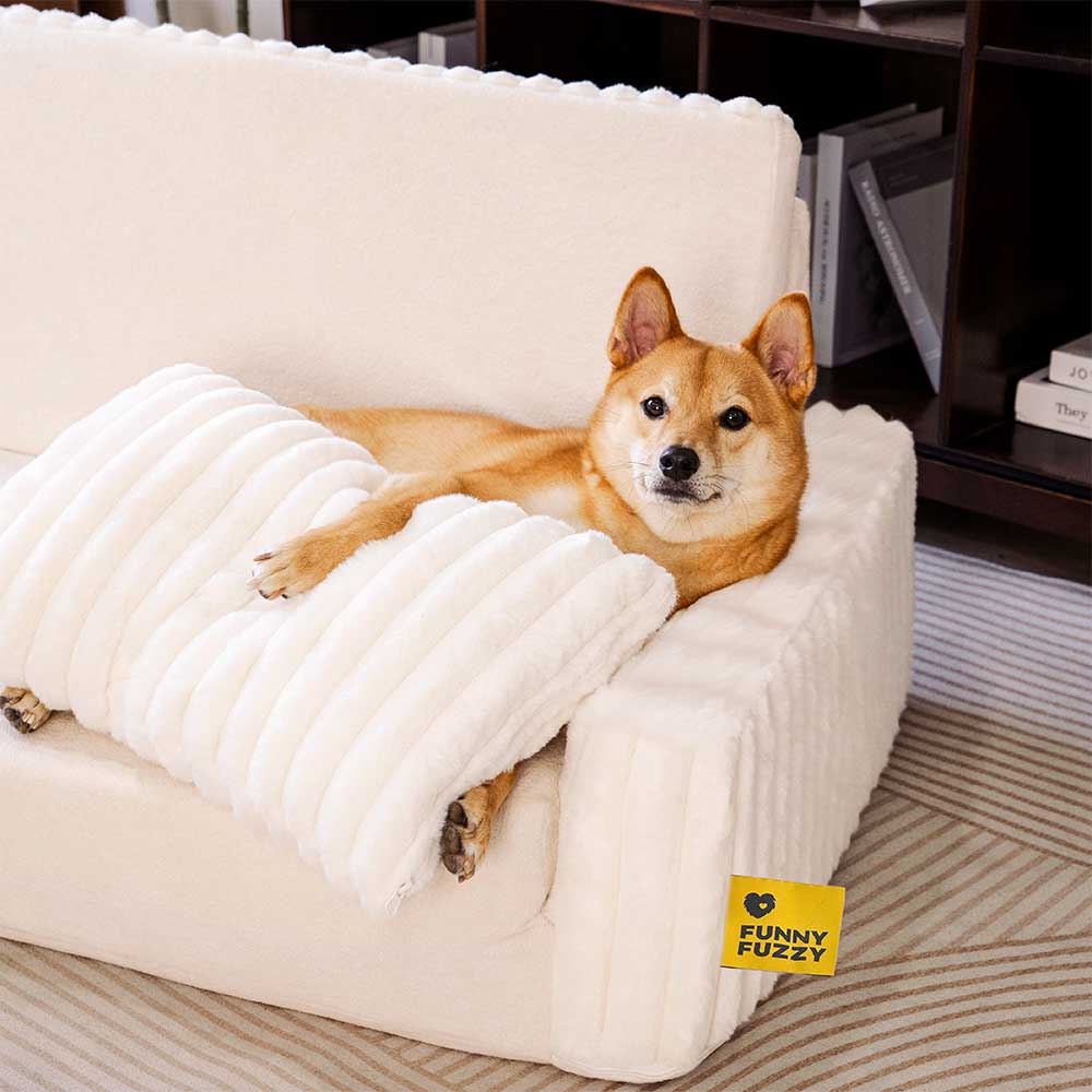 Creamy Fluffy Orthopedic Orthopedic Human Dog Bolster Led - Comfort espandibile