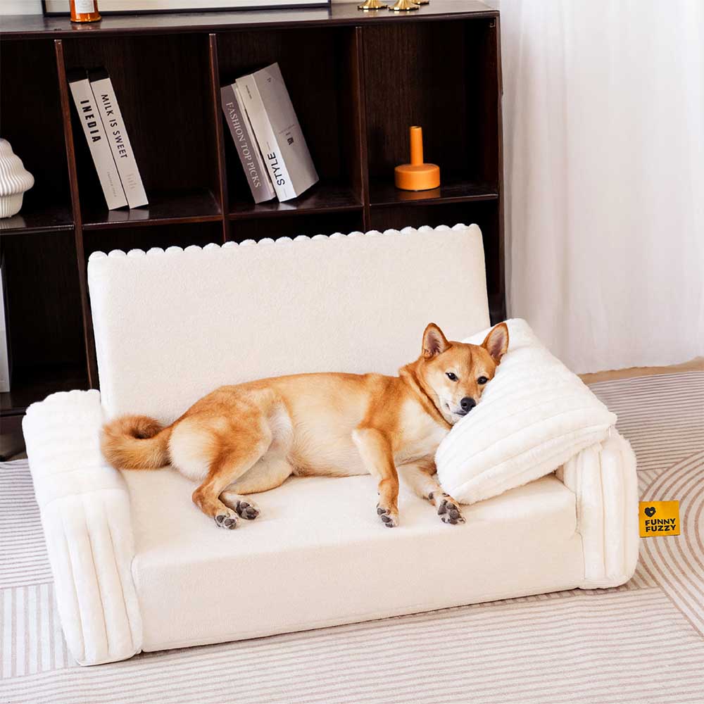 Creamy Fluffy Orthopedic Orthopedic Human Dog Bolster Led - Comfort espandibile
