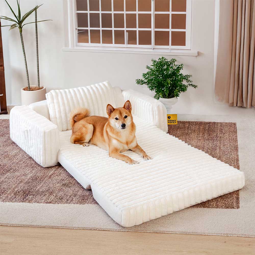 Creamy Fluffy Orthopedic Orthopedic Human Dog Bolster Led - Comfort espandibile