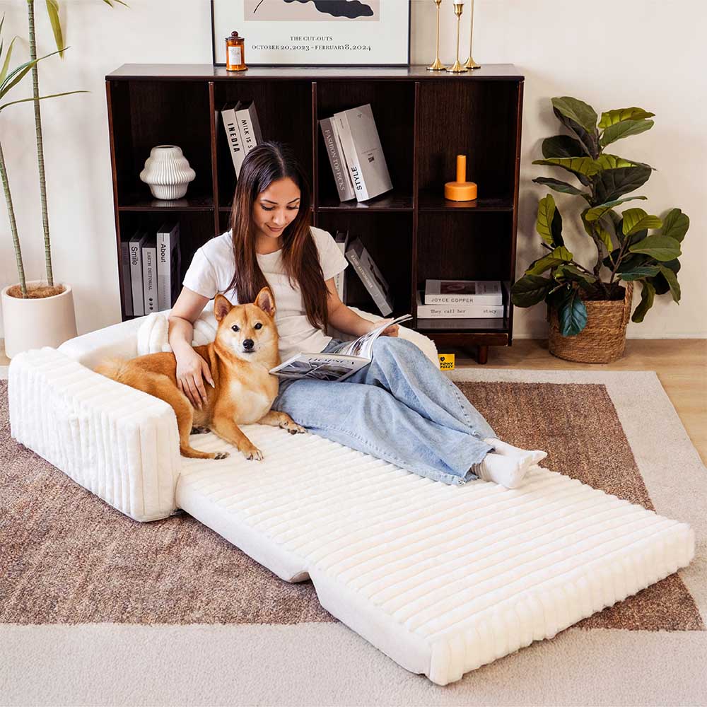 Creamy Fluffy Orthopedic Orthopedic Human Dog Bolster Led - Comfort espandibile