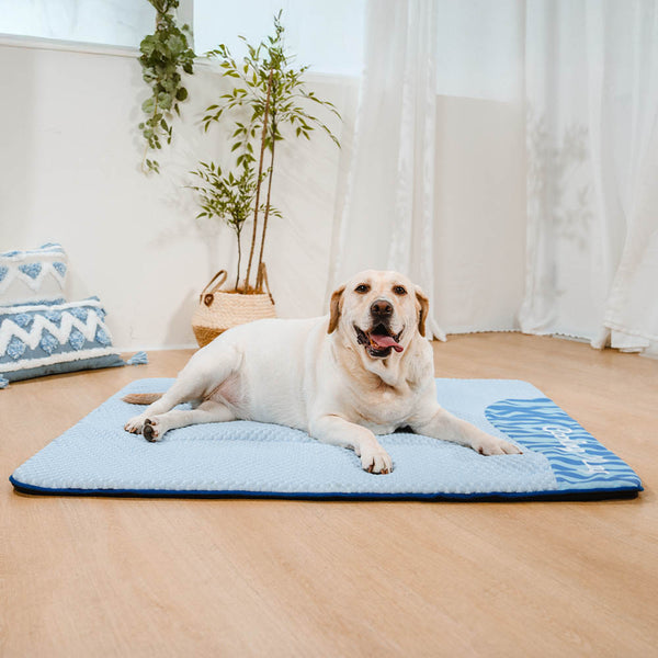 Grande tappetino per cani senza slip di raffreddamento lavabile - Nap di raffreddamento