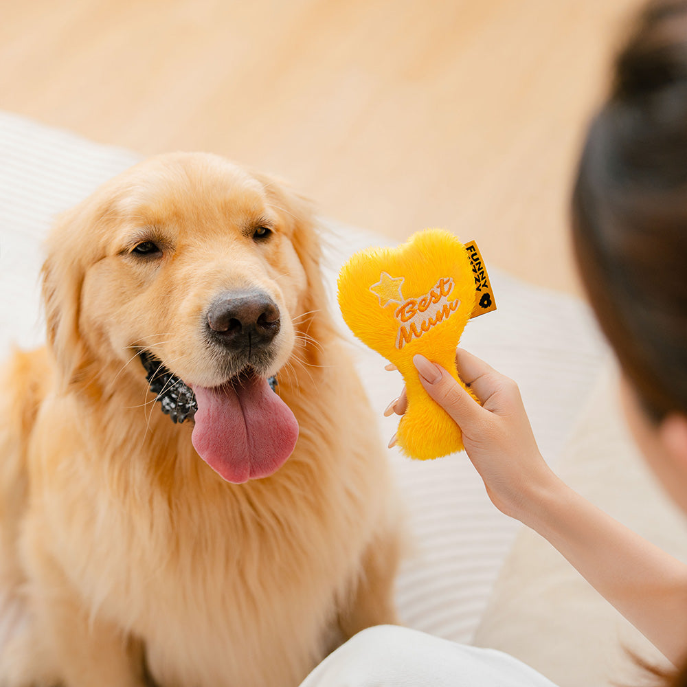 Juguete de perro de corazón chillido del día de la madre - Best Mum Trophy