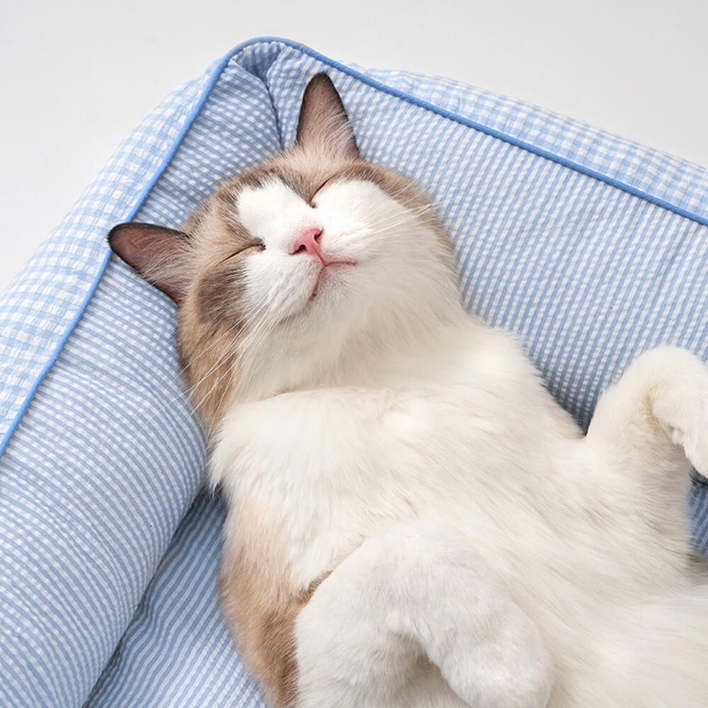 Perro lavable de guinga suave & Sofá cama para gatos con almohadas