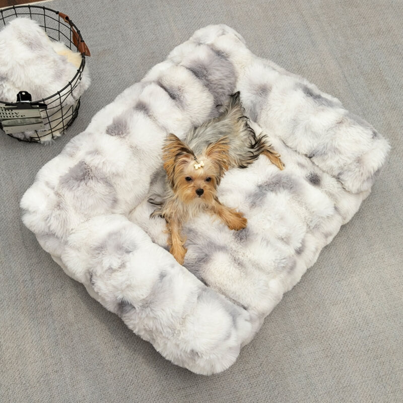 Fluffy peluche addensato accogliente Pet Balming Letto Cagnolo divano gatto