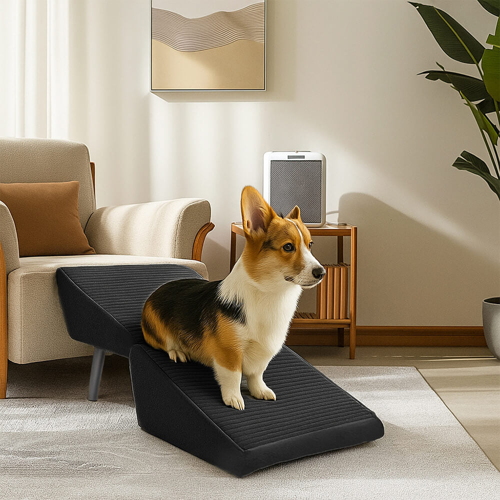 2-in-1 Convertible Wooden Home Step Stool Dog Ramp Stairs