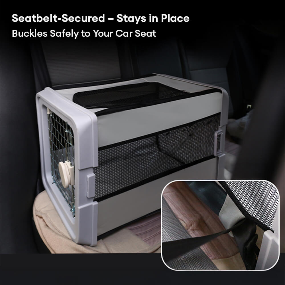 Breathable Foldable Hard-Shell Pet Carrier Crate for Cats & Small Dogs