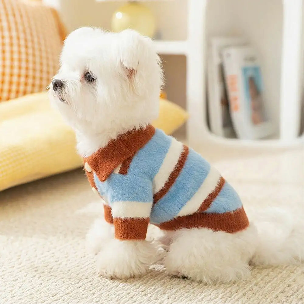 Faux Wool Color-Block Dog Sweater with Striped Collar for Dachshunds
