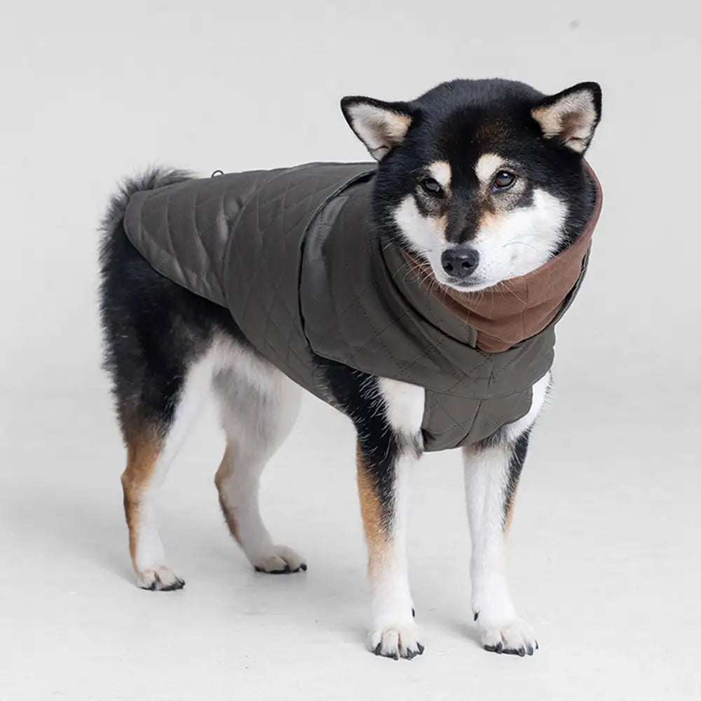High-Neck Quilted Dog Vest – Warm Fashion Winter Coat
