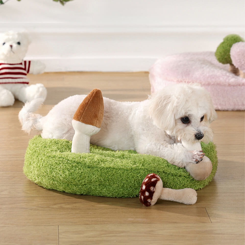 Jungle Explorer 2 en 1 Funny Plush Pet Bed - Parque natural