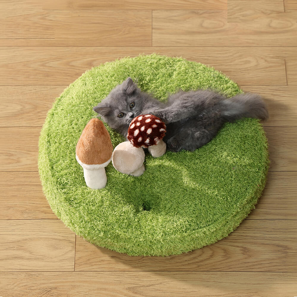 Jungle Explorer 2 en 1 Funny Plush Pet Bed - Parque natural