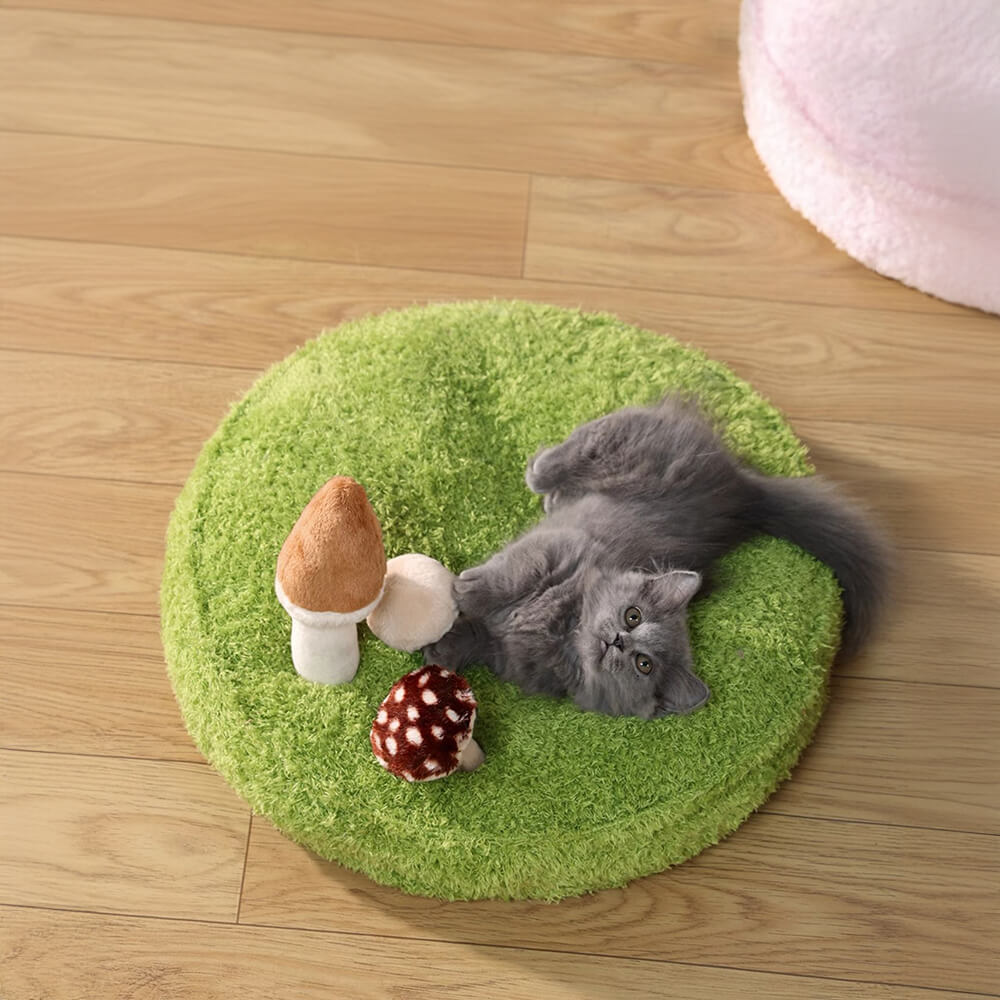 Jungle Explorer 2 en 1 Funny Plush Pet Bed - Parque natural