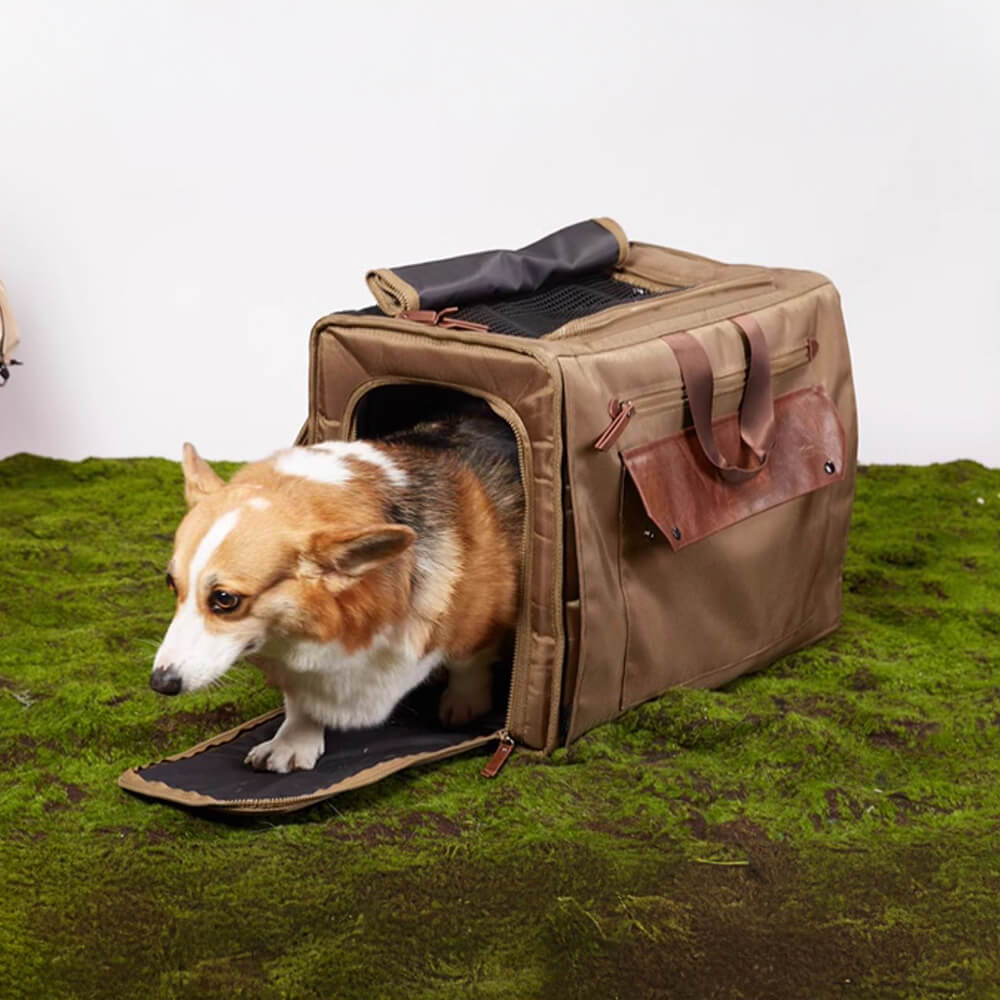 Spazio ampio spazio traspirante in rete impermeabile da viaggio per animali domestici
